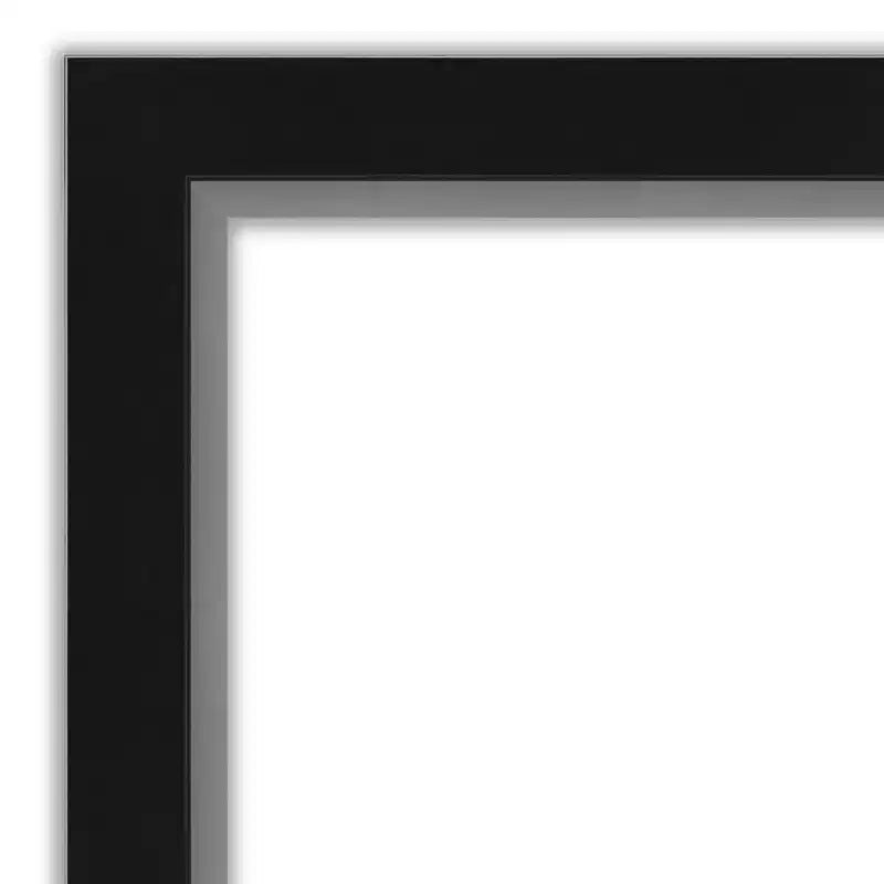 Specchio da Porta a Figura Intera - Cornice Nera Argentata, 17 x 51 pollici.