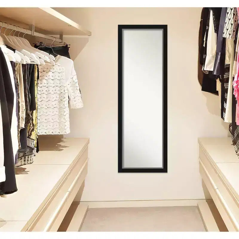 Specchio da Porta a Figura Intera - Cornice Nera Argentata, 17 x 51 pollici.