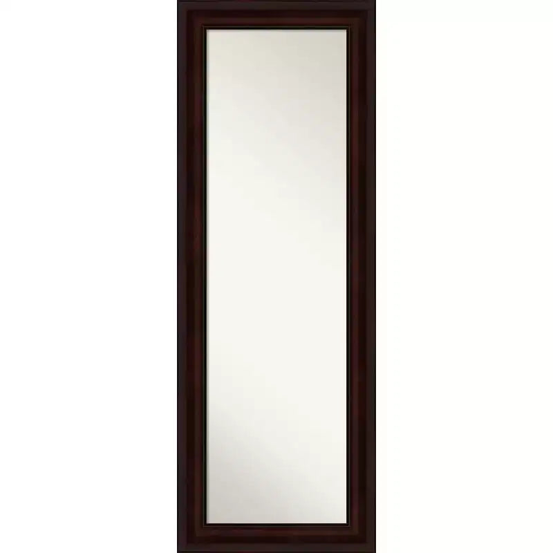 Amanti Art 19" x 53" Non-Beveled Coffee Bean Brown Full Length on The Door Mirror : Polystyrene Frame, Includes Mounting Hardware